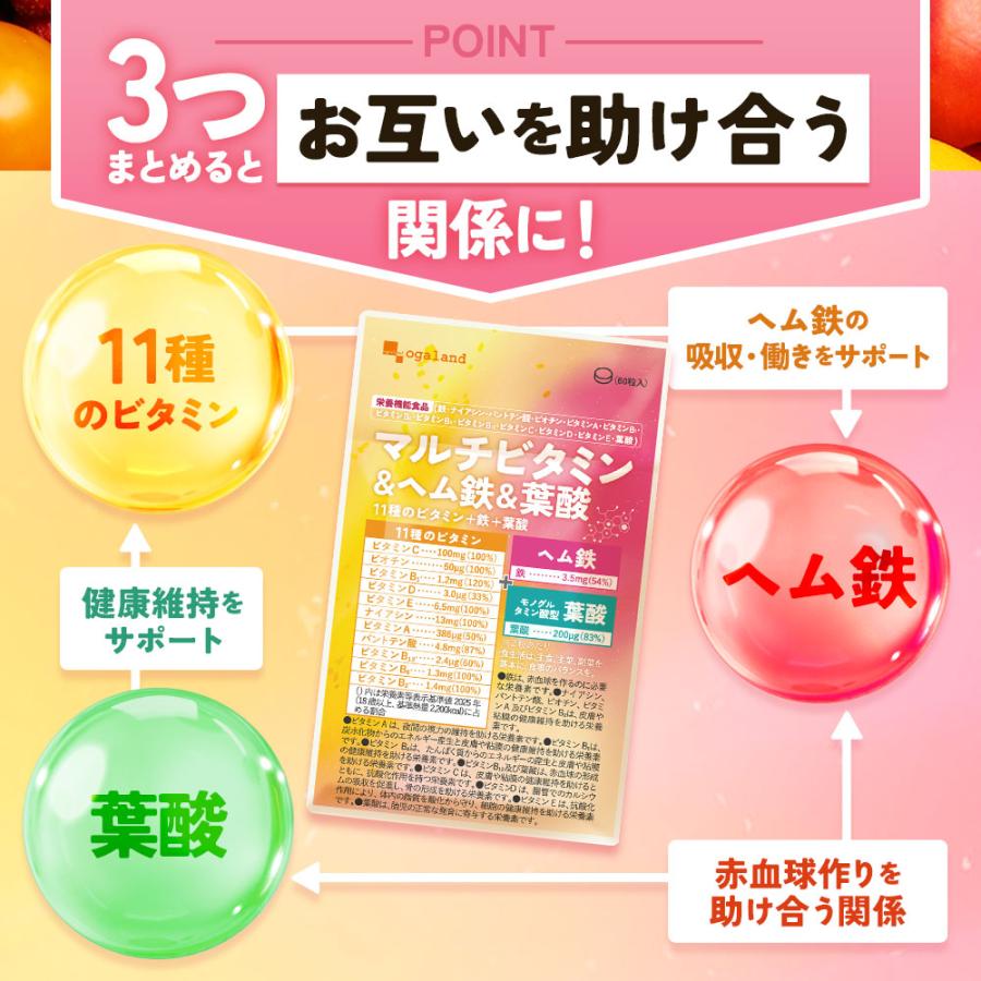 マルチビタミン＆ヘム鉄＆葉酸（約6ヶ月分）オールインワン 葉酸 鉄 ビタミン サプリ サプリメント 栄養機能食品 ビタミンC ビオチン 美容 女性 ポイント利用_12