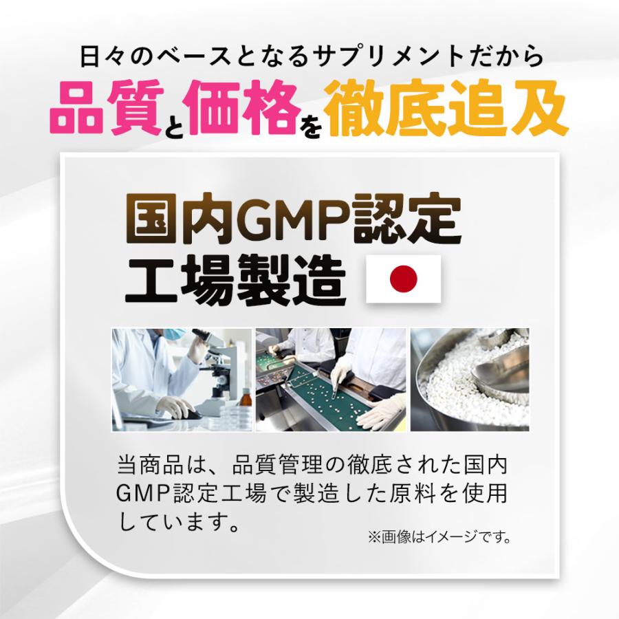 マルチビタミン＆ヘム鉄＆葉酸（約6ヶ月分）オールインワン 葉酸 鉄 ビタミン サプリ サプリメント 栄養機能食品 ビタミンC ビオチン 美容 女性 ポイント利用_13
