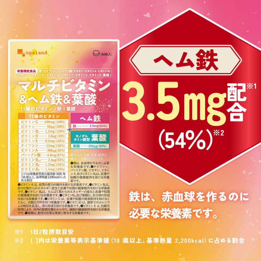 マルチビタミン＆ヘム鉄＆葉酸（約6ヶ月分）オールインワン 葉酸 鉄 ビタミン サプリ サプリメント 栄養機能食品 ビタミンC ビオチン 美容 女性 ポイント利用_9