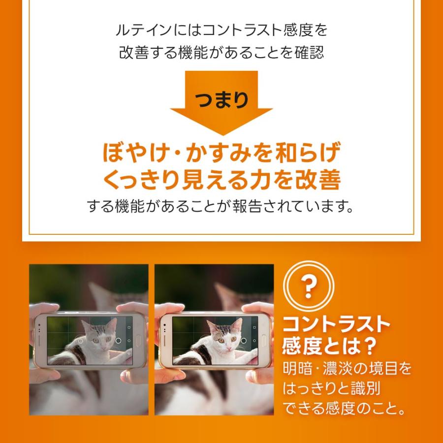 みまもる（約1ヶ月分） ルテイン サプリ 機能性表示食品 サプリメント アスタキサンチン 亜鉛 ビタミンA マリーゴールド ルテインもおすすめ 敬老の日 | ogaland | 13