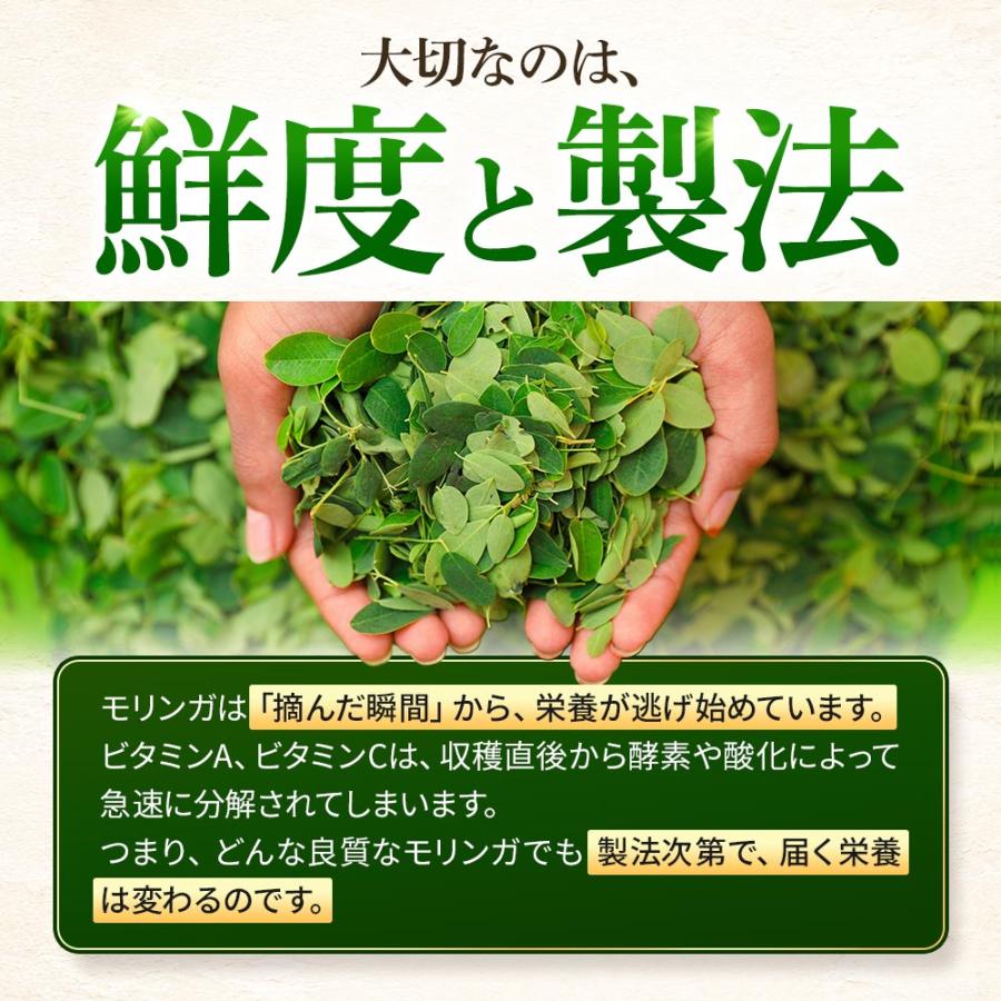 モリンガ サプリ モリンガ100％（約1ヶ月分）サプリメント 鉄 カルシウム 食物繊維 ビタミンC E A B2 ナイアシン 鹿児島県産 国産 健康 美容 ポイント利用 | ogaland | 06