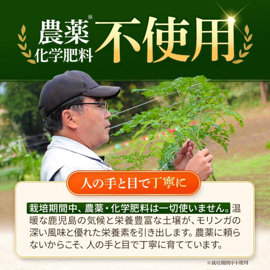 モリンガ サプリ モリンガ100％（約3ヶ月分）サプリメント 鉄 カルシウム 食物繊維 ビタミンC E A B2 ナイアシン 鹿児島県産 国産 健康 美容 ポイント利用 | ogaland | 13