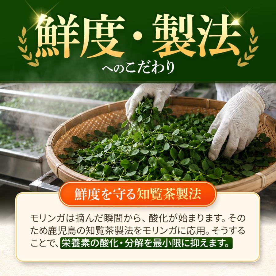 モリンガ サプリ モリンガ100％（約6ヶ月分）サプリメント 鉄 カルシウム 食物繊維 ビタミンC E A B2 ナイアシン 鹿児島県産 国産 健康 美容 ポイント利用 | ogaland | 14