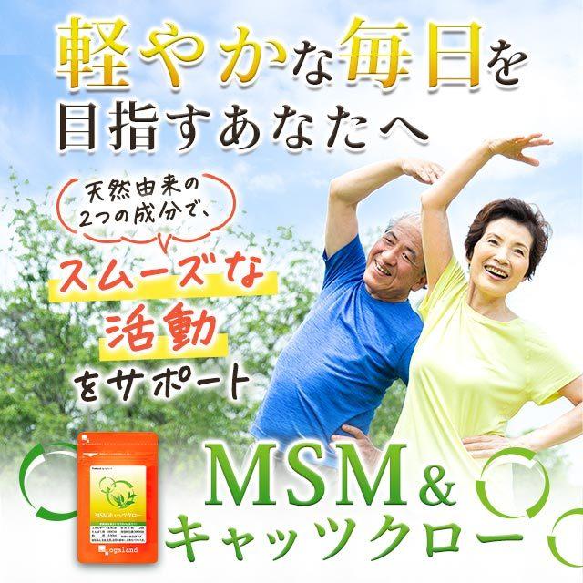 MSM ＆ キャッツクロ― （約1ヶ月分） サプリ キャッツクロウ サプリメント グルコサミン コンドロイチン オオイタドリと一緒に 健康 ポイント利用 | ogaland | 03