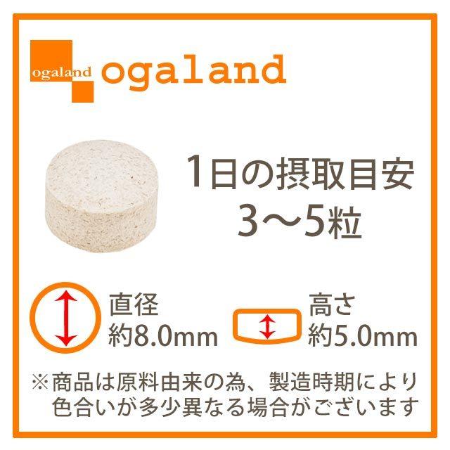 MSM ＆ キャッツクロ― （約1ヶ月分） サプリ キャッツクロウ サプリメント グルコサミン コンドロイチン オオイタドリと一緒に 健康 ポイント利用 | ogaland | 10