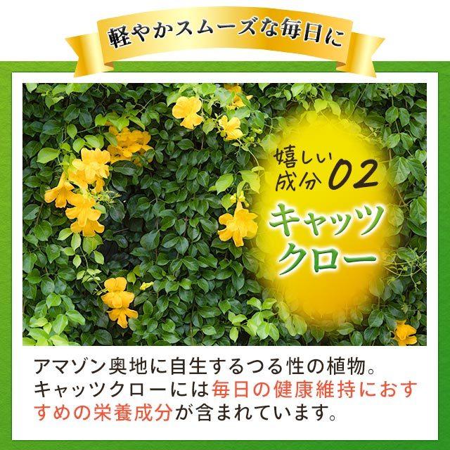 MSM ＆ キャッツクロ― （約1ヶ月分） サプリ キャッツクロウ サプリメント グルコサミン コンドロイチン オオイタドリと一緒に 健康 ポイント利用 | ogaland | 05