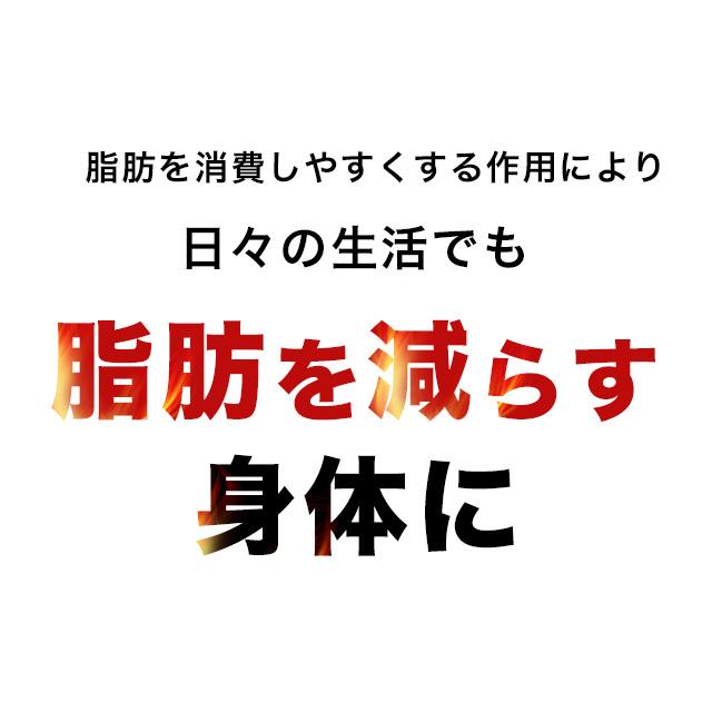 メタノン （約6ヶ月分） ブラックジンジャー サプリ ダイエット  サプリメント 機能性表示食品ビタミンB1 B2 B6  BMI 脂肪を減らす L-カルニチン ポイント利用 | ogaland | 12