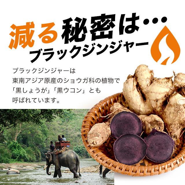 メタノン （約6ヶ月分） ブラックジンジャー サプリ ダイエット  サプリメント 機能性表示食品ビタミンB1 B2 B6  BMI 脂肪を減らす L-カルニチン ポイント利用 | ogaland | 08