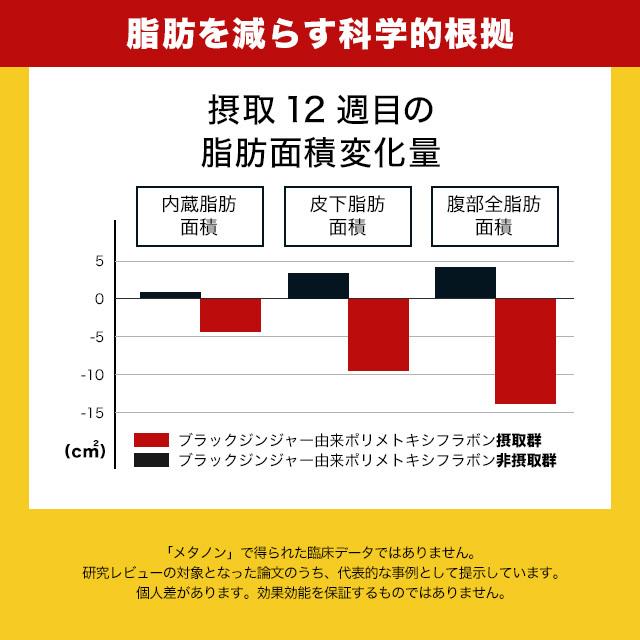 メタノン （約6ヶ月分） ブラックジンジャー サプリ ダイエット  サプリメント 機能性表示食品ビタミンB1 B2 B6  BMI 脂肪を減らす L-カルニチン ポイント利用 | ogaland | 09