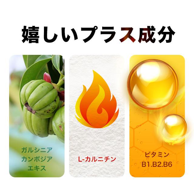 メタノン （約1ヶ月分） ブラックジンジャー 機能性表示食品 サプリ サプリメント ダイエット ビタミンB1 B2 B6 送料無料 BMI 脂肪 L-カルニチン ポイント利用 | ogaland | 11