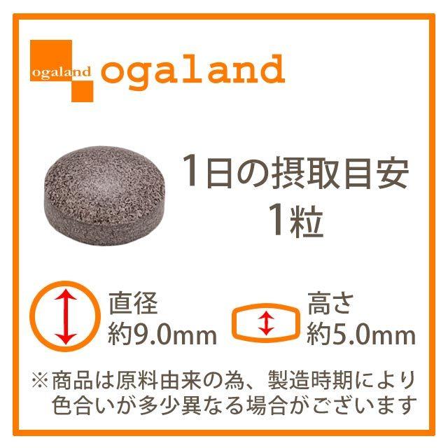 メタノン （約1ヶ月分） ブラックジンジャー 機能性表示食品 サプリ サプリメント ダイエット ビタミンB1 B2 B6 送料無料 BMI 脂肪 L-カルニチン ポイント利用 | ogaland | 14