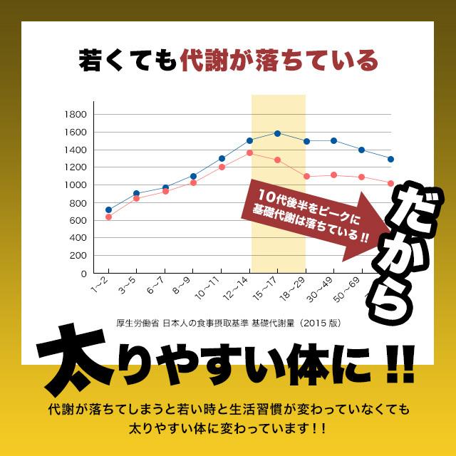 メタノン （約1ヶ月分） ブラックジンジャー 機能性表示食品 サプリ サプリメント ダイエット ビタミンB1 B2 B6 送料無料 BMI 脂肪 L-カルニチン ポイント利用 | ogaland | 05
