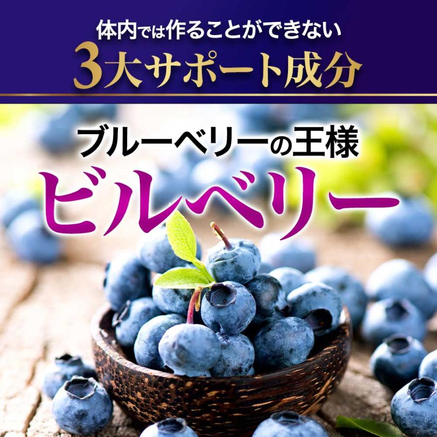 ブルーベリープレミアム （約3ヶ月分）サプリ ルテインとアスタキサンチンを贅沢配合 新商品 アントシアニン カシス ポイント利用 | ogaland | 10