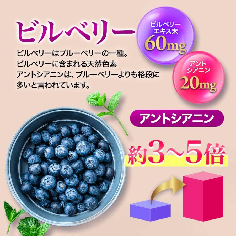 ブルーベリープレミアム （約3ヶ月分）サプリ ルテインとアスタキサンチンを贅沢配合 新商品 アントシアニン カシス ポイント利用 | ogaland | 11