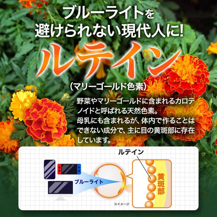 ブルーベリープレミアム （約3ヶ月分）サプリ ルテインとアスタキサンチンを贅沢配合 新商品 アントシアニン カシス ポイント利用 | ogaland | 12
