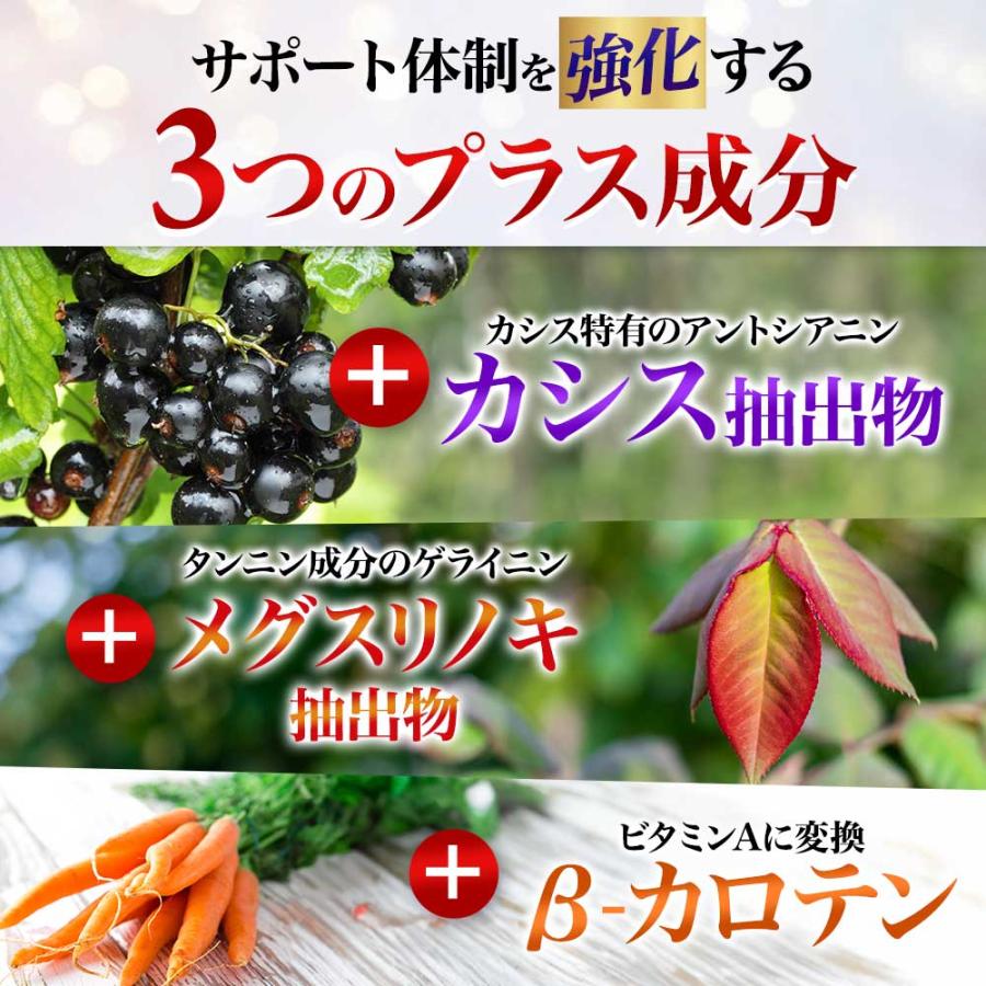 ブルーベリープレミアム （約3ヶ月分）サプリ ルテインとアスタキサンチンを贅沢配合 新商品 アントシアニン カシス ポイント利用 | ogaland | 14