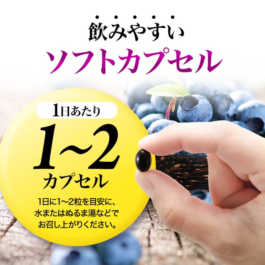 ブルーベリープレミアム （約3ヶ月分）サプリ ルテインとアスタキサンチンを贅沢配合 新商品 アントシアニン カシス ポイント利用 | ogaland | 16