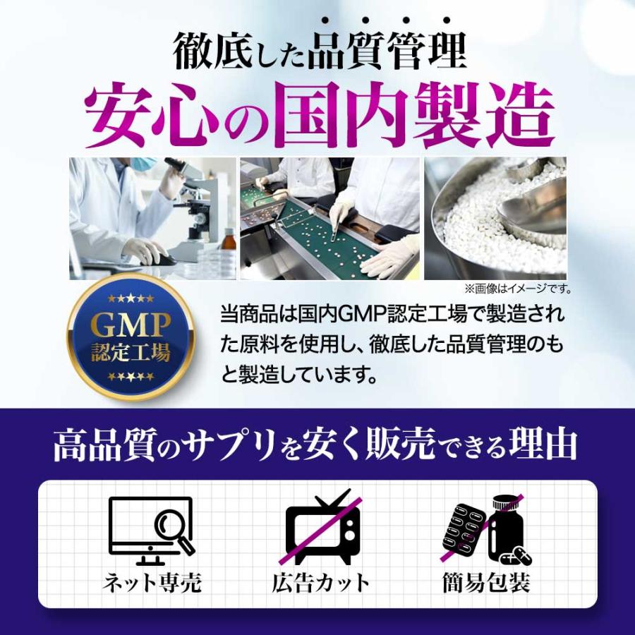 ブルーベリープレミアム （約3ヶ月分）サプリ ルテインとアスタキサンチンを贅沢配合 新商品 アントシアニン カシス ポイント利用 | ogaland | 17