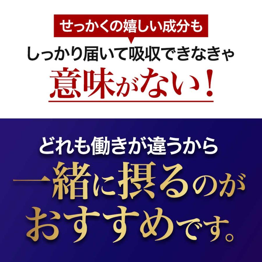 ブルーベリープレミアム （約3ヶ月分）サプリ ルテインとアスタキサンチンを贅沢配合 新商品 アントシアニン カシス ポイント利用 | ogaland | 07