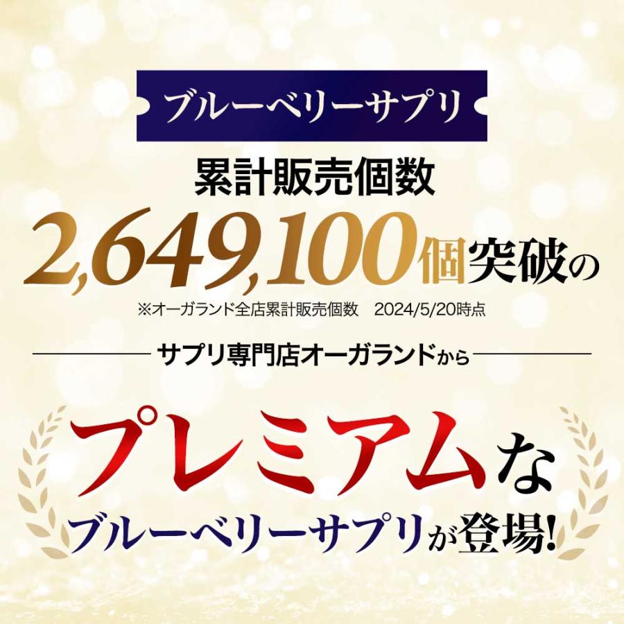 ogaland（オーガランド） ブルーベリープレミアム（約6ヶ月分）新商品