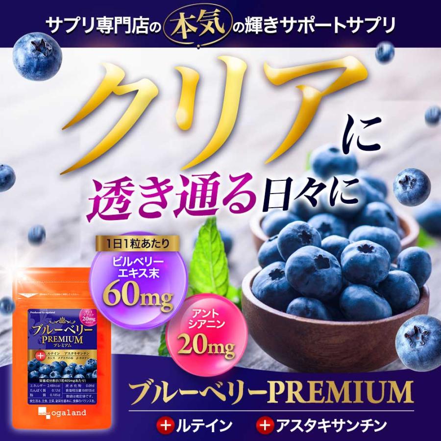 ogaland（オーガランド） ブルーベリープレミアム（約6ヶ月分）新商品