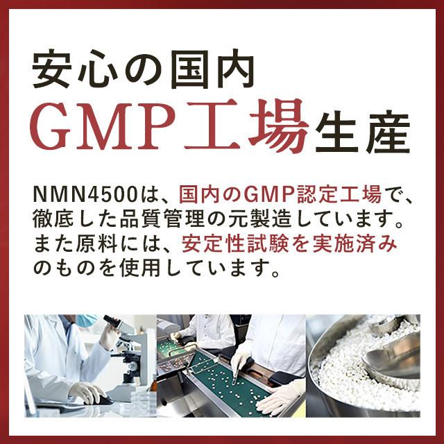 NMN 4500 （約12ヶ月分） サプリ 日本製 高純度 高品質 エヌエムエヌ サプリメント 国内製造 nmn ニコチンモノクレオチド 4500 美容 約12ヶ月分 国内製造 ニコチンアミド