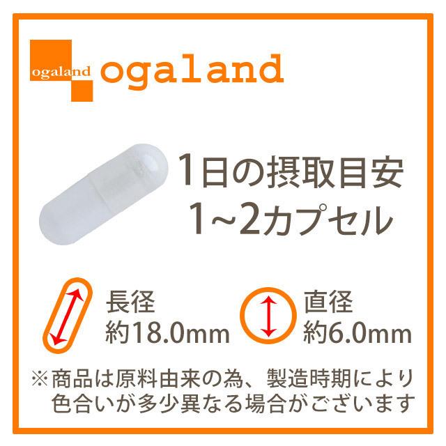 NMN 4500 （約12ヶ月分） サプリ 日本製 高純度 高品質 エヌエムエヌ サプリメント 国内製造 nmn ニコチンモノクレオチド 4500 美容 約12ヶ月分 国内製造 ニコチンアミド