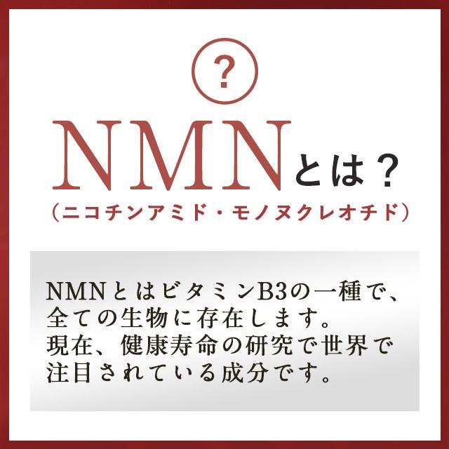 NMN 4500 （約12ヶ月分） サプリ 日本製 高純度 高品質 エヌエムエヌ サプリメント 国内製造 nmn ニコチンモノクレオチド 4500 美容 約12ヶ月分 国内製造 ニコチンアミド