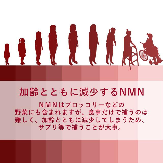 NMN 4500 （約12ヶ月分） サプリ 日本製 高純度 高品質 エヌエムエヌ サプリメント 国内製造 nmn ニコチンモノクレオチド 4500 美容 約12ヶ月分 国内製造 ニコチンアミド