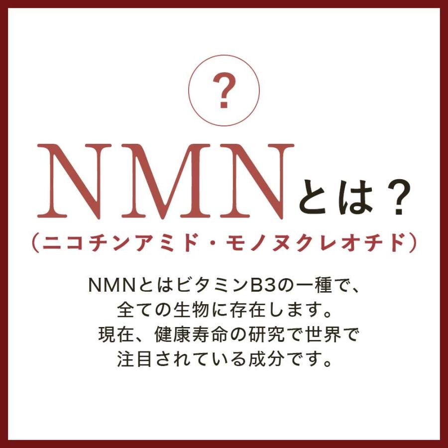NMN 4500 （約3ヶ月分） 高純度 高品質 エヌエムエヌ サプリメント 国内製造 サプリ 日本製 nmn ニコチンモノクレオチド 4500 美容 ポイント利用 | ogaland | 05