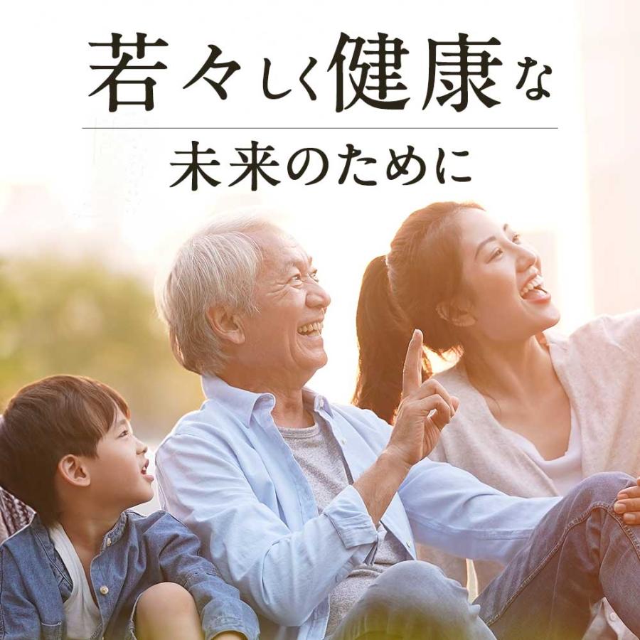 NMN 4500 （約6ヶ月分） 国内製造 サプリ 日本製 高純度 高品質 エヌエムエヌ サプリメント nmn ニコチンモノクレオチド 4500 美容 ポイント利用 | ogaland | 12