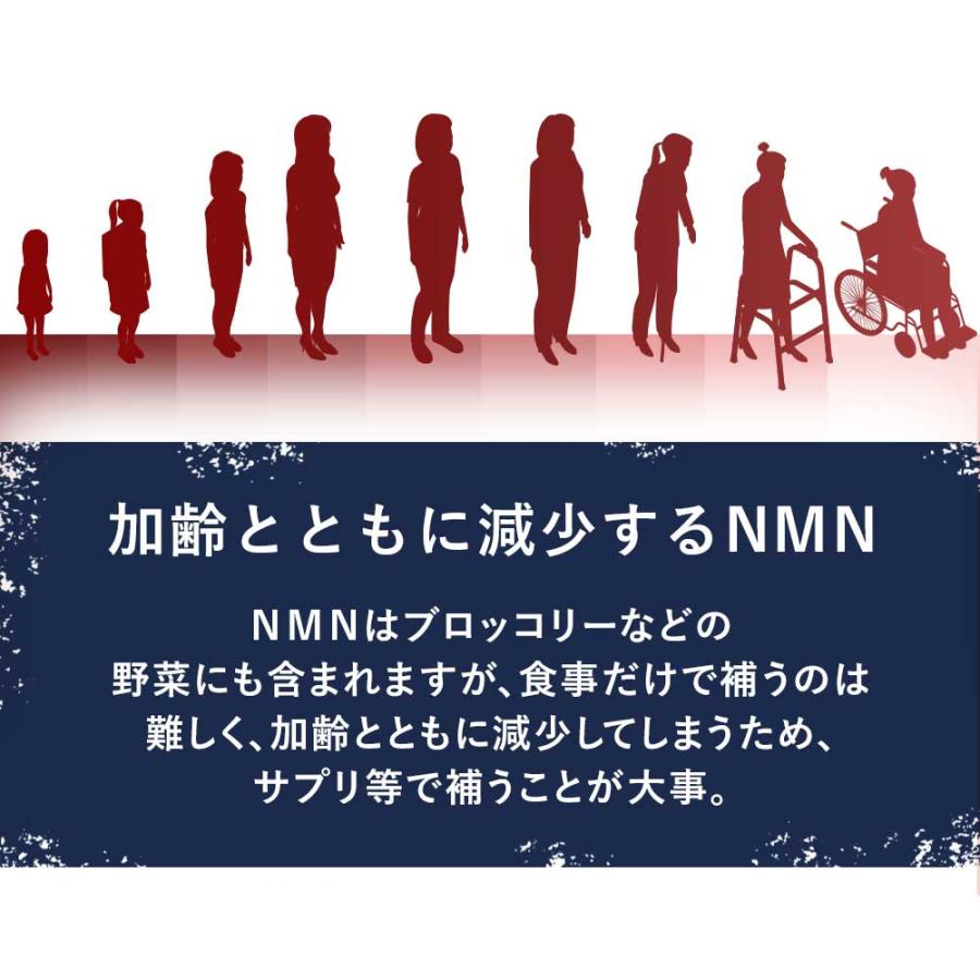 NMN 4500 （約6ヶ月分） 国内製造 サプリ 日本製 高純度 高品質 エヌエムエヌ サプリメント nmn ニコチンモノクレオチド 4500 美容 ポイント利用 | ogaland | 06