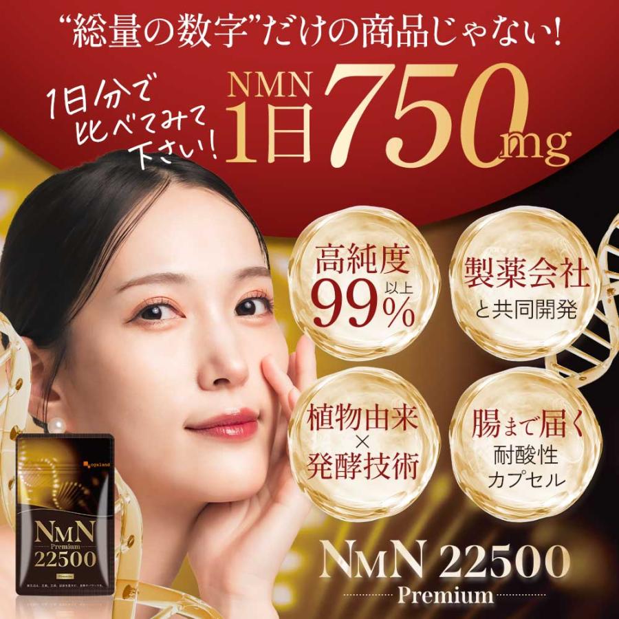 NMNプレミアム22500（約3ヶ月分）サプリ 日本製 3粒で750mg 女性に人気 サプリメント 高純度99% ビタミン 小粒で飲みやすい 耐酸性カプセル  ポイント利用 | ogaland | 01