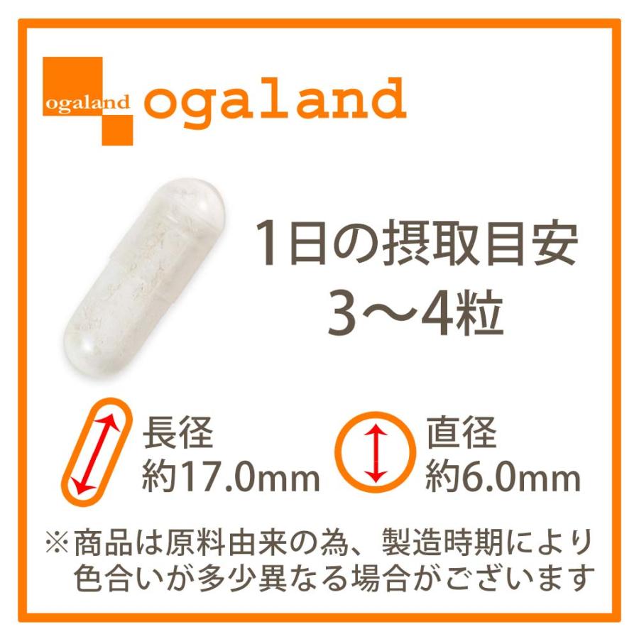 NMNプレミアム22500（約3ヶ月分）サプリ 日本製 3粒で750mg 女性に人気 サプリメント 高純度99% ビタミン 小粒で飲みやすい 耐酸性カプセル  ポイント利用 | ogaland | 16