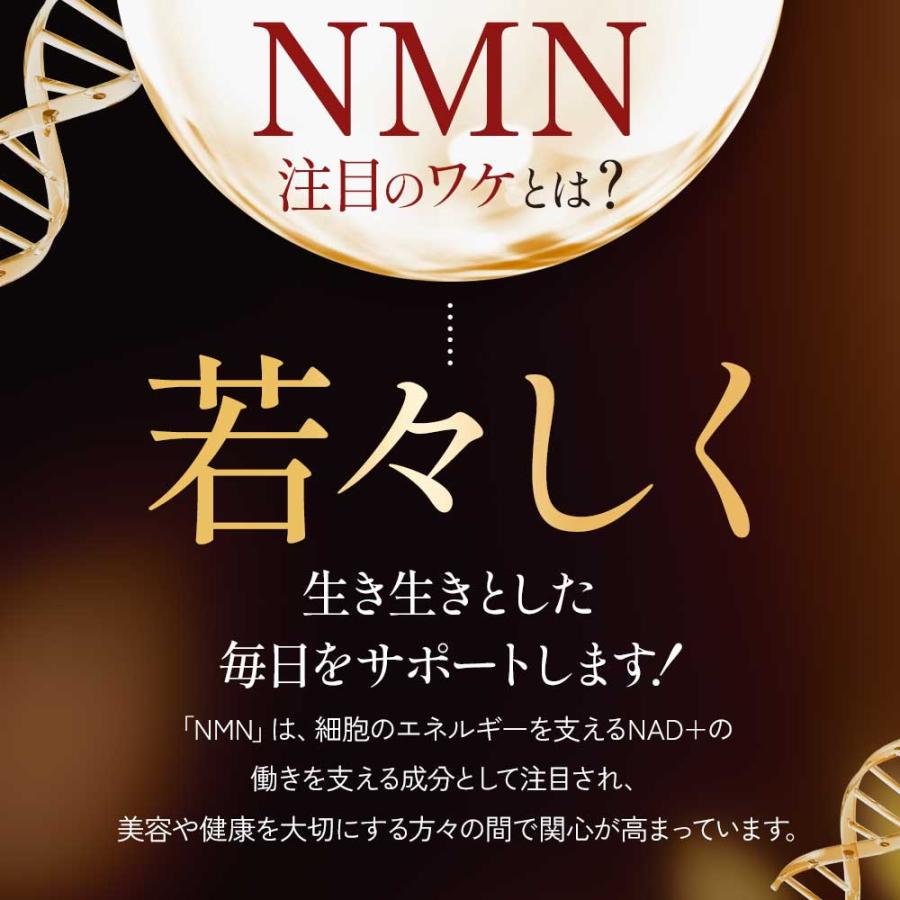 NMNプレミアム22500（約6ヶ月分）サプリ 日本製 3粒で750mg 女性に人気 サプリメント 高純度99% ビタミン 小粒で飲みやすい 耐酸性カプセル ポイント利用