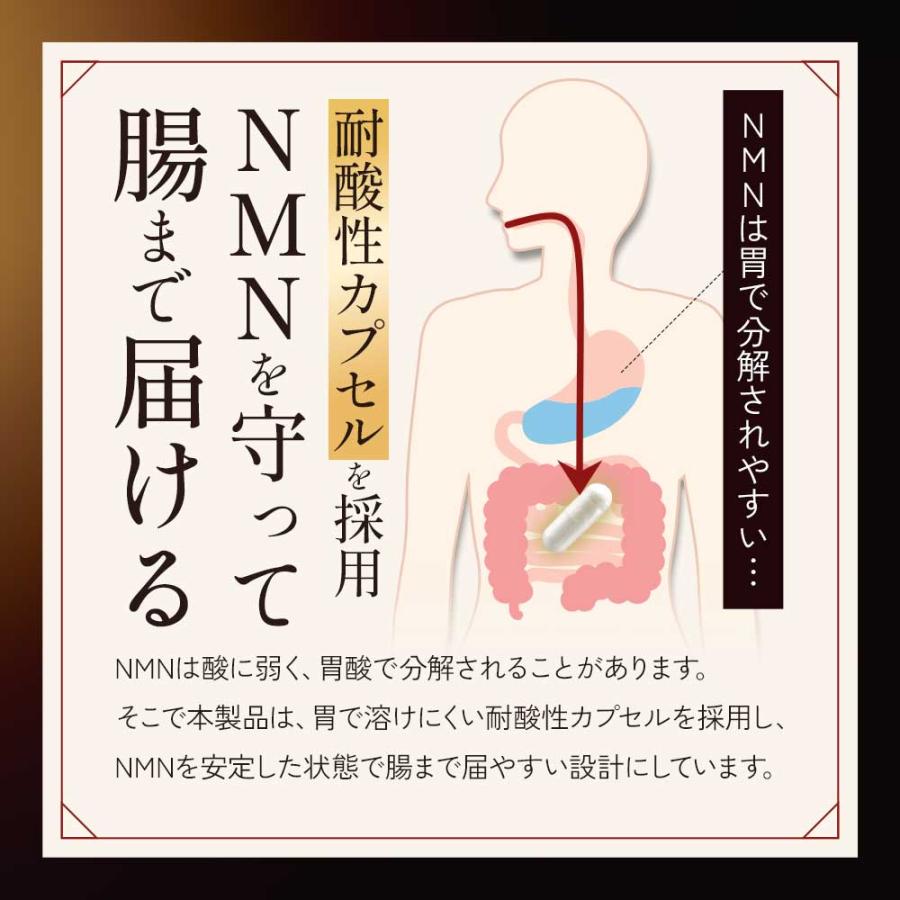 NMNプレミアム22500（約6ヶ月分）サプリ 日本製 3粒で750mg 女性に人気 サプリメント 高純度99% ビタミン 小粒で飲みやすい 耐酸性カプセル ポイント利用