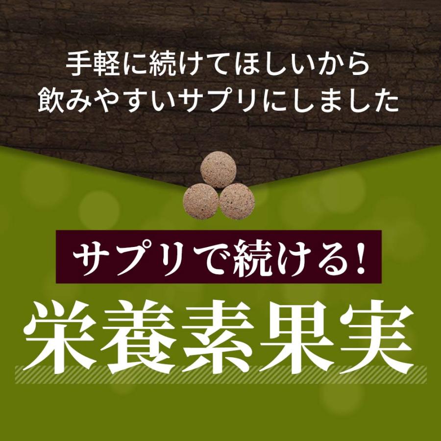 ogaland（オーガランド） ノニ粒（約1ヶ月分）サプリ サプリメント