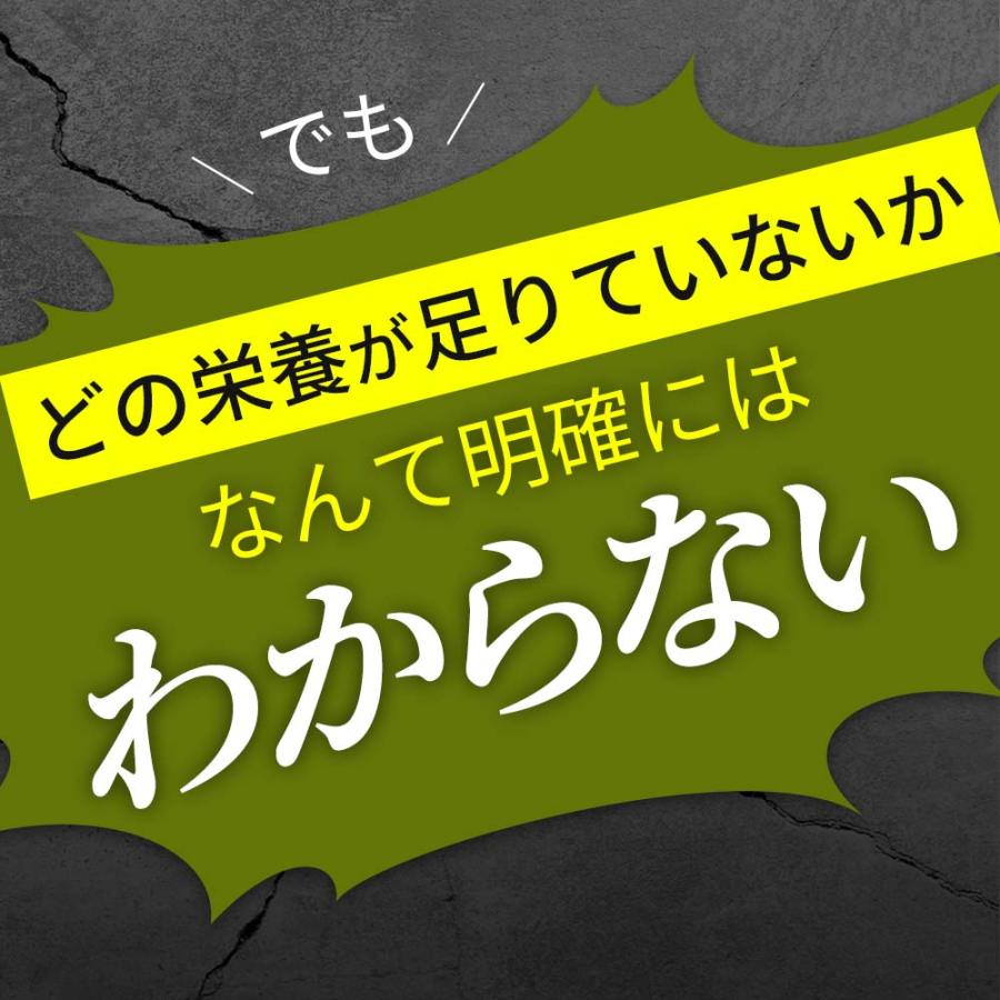 ogaland（オーガランド） ノニ粒（約1ヶ月分）サプリ サプリメント