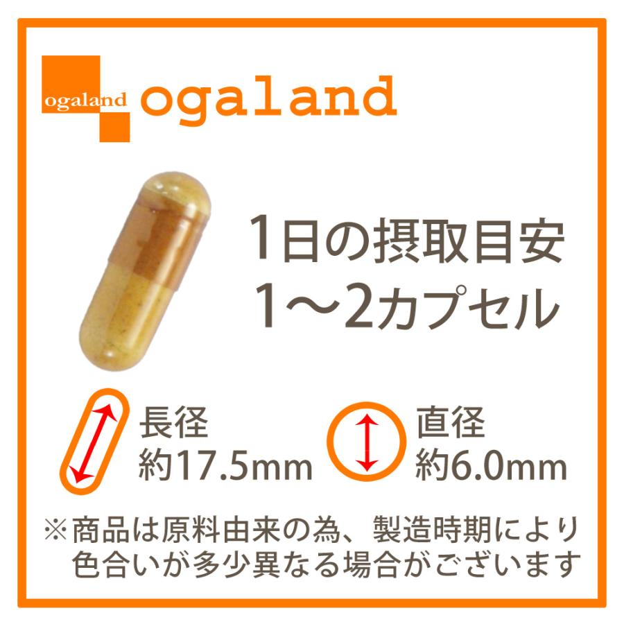 納豆キナーゼ （約1ヶ月分） ナットウキナーゼ 納豆菌 納豆 発酵 黒タマネギ末 高麗人参エキス末 難消化性デキストリン 納豆が苦手な方に ポイント利用 | ogaland | 19