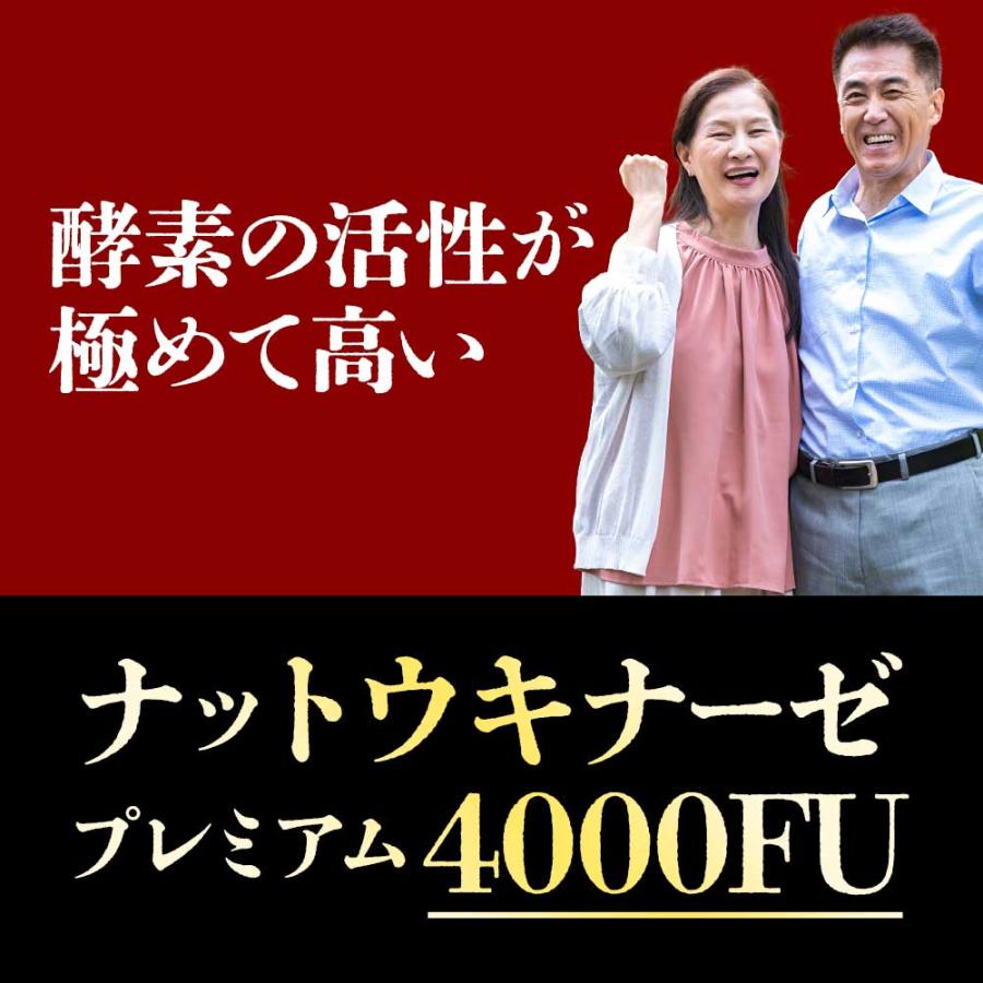 ナットウキナーゼ プレミアム 4000FU （約12ヶ月分） 納豆キナーゼ サプリ サプリメント プリン体無し 酵素 納豆が 苦手 嫌い コレステロール ポイント利用 | ogaland | 17