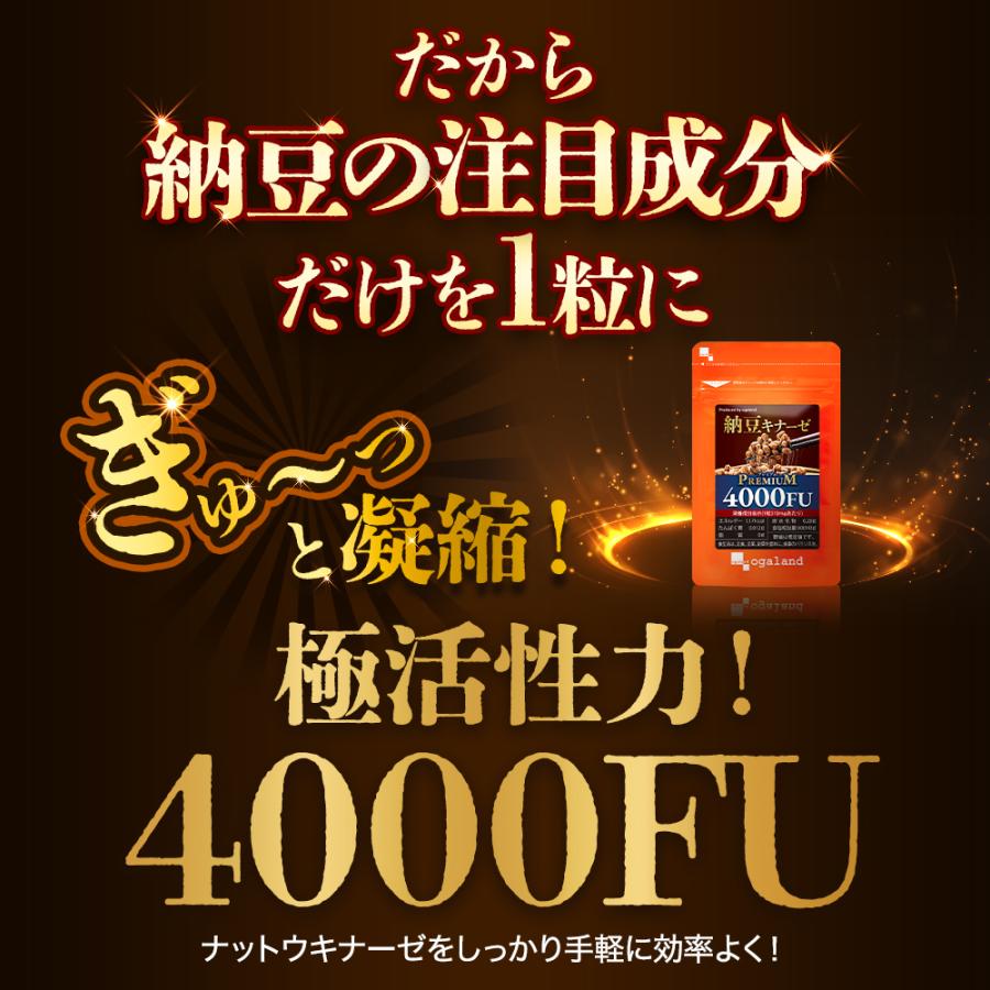 ナットウキナーゼ プレミアム 4000FU （約12ヶ月分） 納豆キナーゼ サプリ サプリメント プリン体無し 酵素 納豆が 苦手 嫌い コレステロール ポイント利用 | ogaland | 08