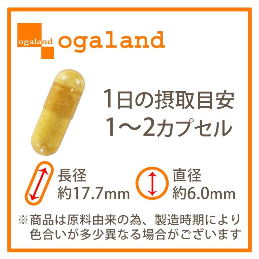 ナットウキナーゼ プレミアム 4000FU （約1ヶ月分） 納豆キナーゼ サプリ サプリメント プリン体無し 酵素 納豆が苦手嫌い ビタミン ポイント利用 | ogaland | 20
