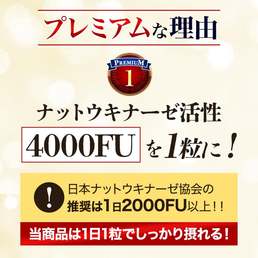 ナットウキナーゼ プレミアム 4000FU （約1ヶ月分） 納豆キナーゼ サプリ サプリメント プリン体無し 酵素 納豆が苦手嫌い ビタミン ポイント利用 | ogaland | 10