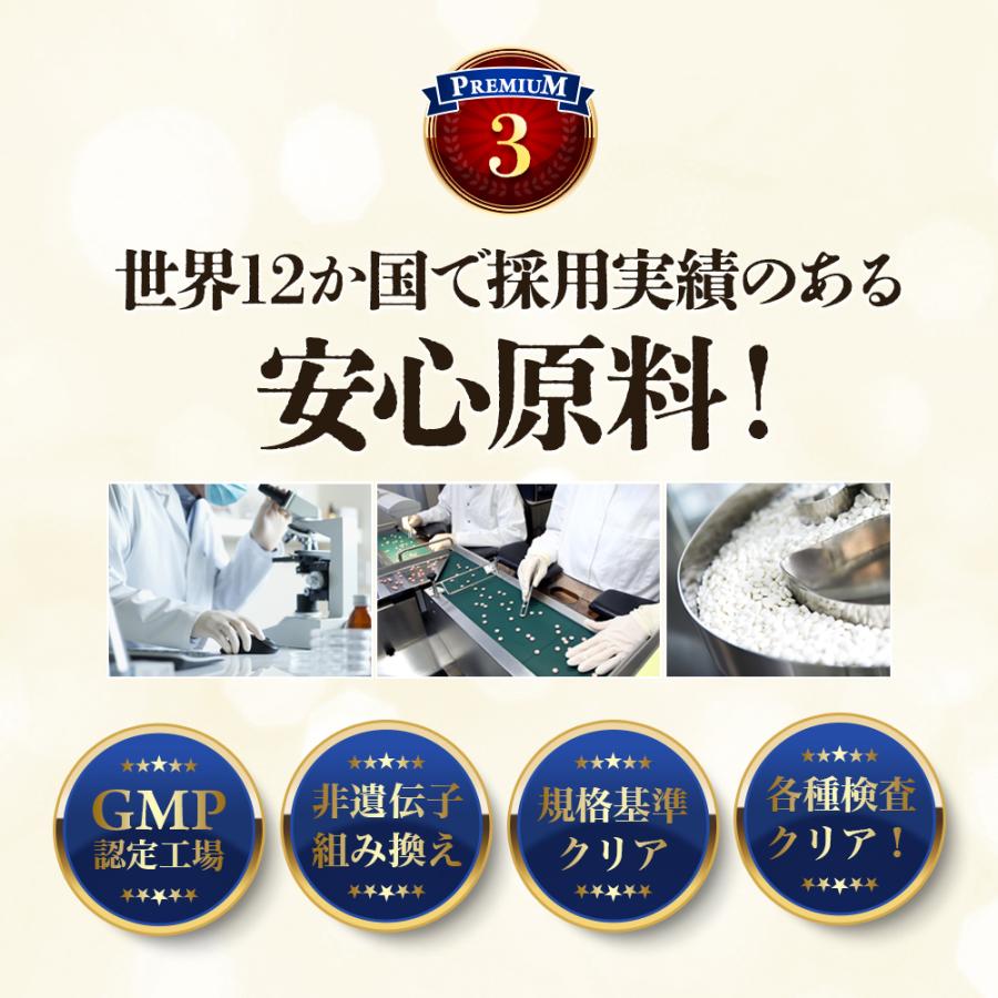 ナットウキナーゼ プレミアム 4000FU （約3ヶ月分） 納豆キナーゼ サプリ サプリメント プリン体無し 酵素 納豆が苦手 嫌いな方に コレステロール ポイント利用 | ogaland | 11