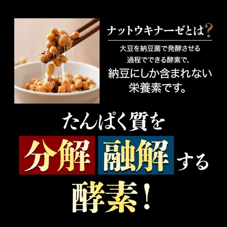 ナットウキナーゼ プレミアム 4000FU （約3ヶ月分） 納豆キナーゼ サプリ サプリメント プリン体無し 酵素 納豆が苦手 嫌いな方に コレステロール ポイント利用 | ogaland | 05