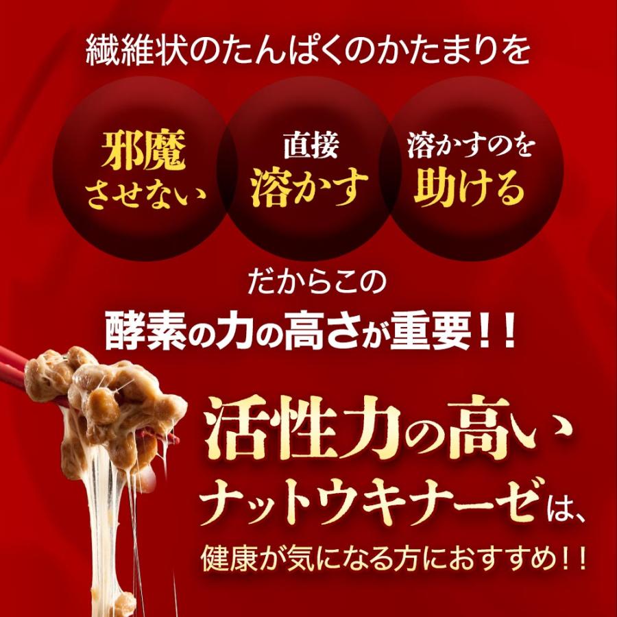 ナットウキナーゼ プレミアム 4000FU （約6ヶ月分） 納豆キナーゼ サプリ サプリメント プリン体無し 酵素 納豆が苦手嫌いな方に コレステロール ポイント利用 | ogaland | 06