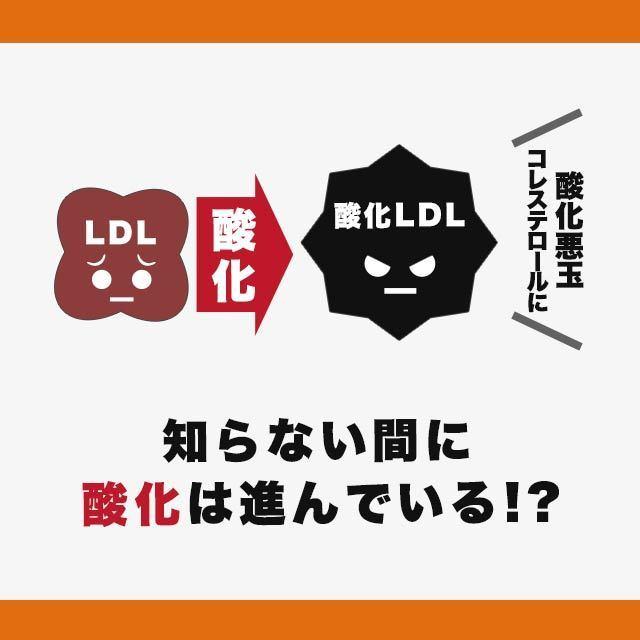 オリーブ葉エキス (約3ヶ月分) 悪玉 LDL コレステロール が気になりだしたら サプリメント サプリ オリーブ 機能性表示食品 生活習慣 アマニ油 抗酸化 作用 :ol3:オーガランド Yahoo!店 - 通販 - Yahoo!ショッピング オリーブ葉エキス (約3ヶ月分) 悪玉 LDL コレステロール が気になりだしたら サプリメント サプリ オリーブ 機能性表示食品 生活習慣 アマニ油 抗酸化 作用 :ol3:オーガランド Yahoo!店 - 通販 - Yahoo!ショッピング