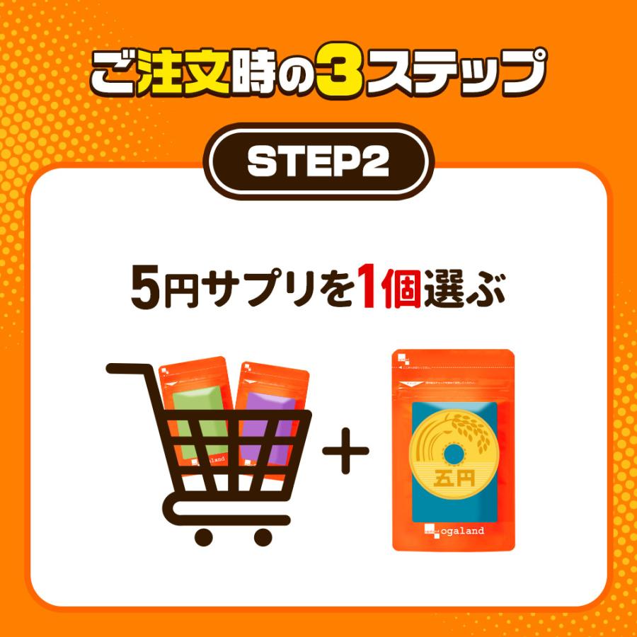 選べる5円サプリ 豪華になってリニューアル たっぷり約1ヶ月分 10種から選べる サプリメント サプリ オメガ3 ビタミン 亜鉛 ヘム鉄 黒にんにく サラシア | ogaland | 19