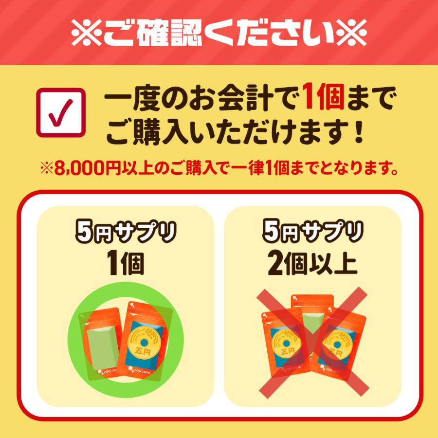 選べる5円サプリ 豪華になってリニューアル たっぷり約1ヶ月分 10種から選べる サプリメント サプリ オメガ3 ビタミン 亜鉛 ヘム鉄 黒にんにく サラシア | ogaland | 22