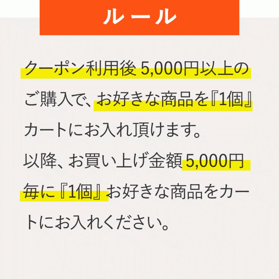 選べる5円 サプリ たっぷり約1ヶ月分 選べる サプリメント 5000円毎のお買い物 オメガ3 ブルーベリー はとむぎエキス ローズサプリ Lカルニチン ポイント利用 | ogaland | 06